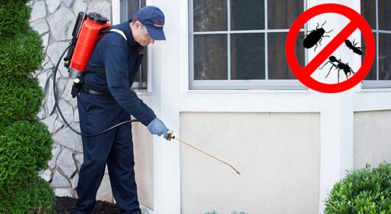 Başiskele Dezenfeksiyon böcek ilaçlama ve haşere kontrolü — ilaclama-tr.com